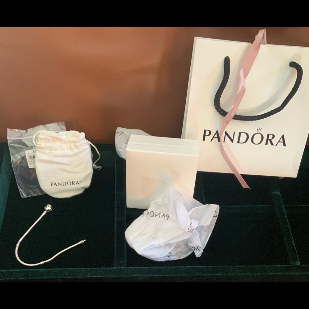 Pandora bracelet new